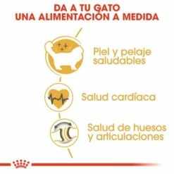 Royal Canin Pienso Ragdoll Adulte Para Gatos -Suministros De Mascotas Ventas 2024 RC FBN Ragdoll CV Eretailkit 3 es ES 62dfcfaedab1e g