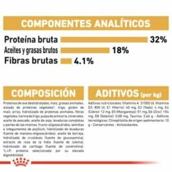 Royal Canin Pienso Ragdoll Adulte Para Gatos -Suministros De Mascotas Ventas 2024 RC FBN Ragdoll CV Eretailkit 6 es ES 62dfcfb22141a g