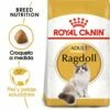 Royal Canin Pienso Ragdoll Adulte Para Gatos 1 Royal Canin Pienso Ragdoll Adulte Para Gatos -Suministros De Mascotas Ventas 2024 RC FBN Ragdoll MV Eretailkit es ES 62dfcfaa0598b g