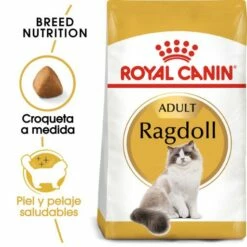 Royal Canin Pienso Ragdoll Adulte Para Gatos