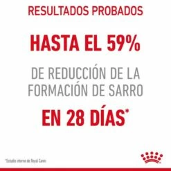 Royal Canin Oral Care Pienso De Gato Adulto Con Sensibilidad Oral -Suministros De Mascotas Ventas 2024 RC FCN DentalCare CV 0 es ES 649d6bfb7392d g