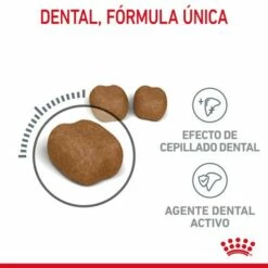 Royal Canin Oral Care Pienso De Gato Adulto Con Sensibilidad Oral -Suministros De Mascotas Ventas 2024 RC FCN DentalCare CV 2 es ES 649d6bfb79b54 g