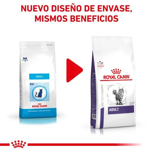 Royal Canin Adult Pienso Para Gatos Adultos 5 Royal Canin Adult Pienso Para Gatos Adultos - Imagen 3