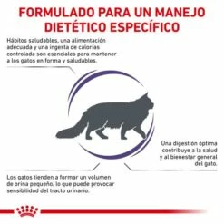 Royal Canin Adult Pienso Para Gatos Adultos 16 Royal Canin Adult Pienso Para Gatos Adultos -Suministros De Mascotas Ventas 2024 RC VET DRY CatAD CV 2 es ES 62fce2a74f999 g