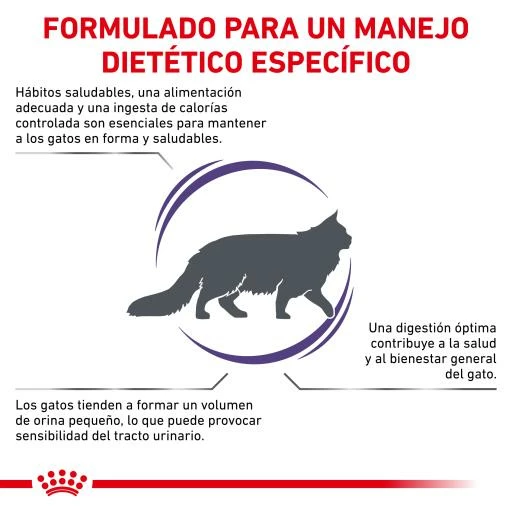 Royal Canin Adult Pienso Para Gatos Adultos 6 Royal Canin Adult Pienso Para Gatos Adultos - Imagen 4