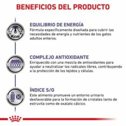 Royal Canin Adult Pienso Para Gatos Adultos 18 Royal Canin Adult Pienso Para Gatos Adultos -Suministros De Mascotas Ventas 2024 RC VET DRY CatAD CV 4 es ES 62fce2a99de2f g