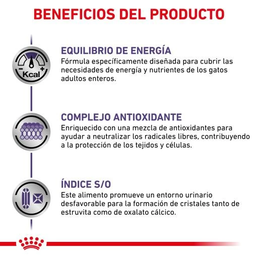Royal Canin Adult Pienso Para Gatos Adultos 8 Royal Canin Adult Pienso Para Gatos Adultos - Imagen 6