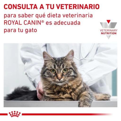 Royal Canin Adult Pienso Para Gatos Adultos 13 Royal Canin Adult Pienso Para Gatos Adultos - Imagen 11