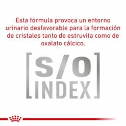 Royal Canin Pienso Para Gato Veterinary Diet Anallergenic AN24 19 Royal Canin Pienso Para Gato Veterinary Diet Anallergenic AN24 -Suministros De Mascotas Ventas 2024 RC VET DRY CatAna CV Eretailkit 10 es ES 62fcdfd34860e g