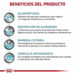 Royal Canin Pienso Para Gato Veterinary Diet Anallergenic AN24 14 Royal Canin Pienso Para Gato Veterinary Diet Anallergenic AN24 -Suministros De Mascotas Ventas 2024 RC VET DRY CatAna CV Eretailkit 3 es ES 62fcdfccab764 g