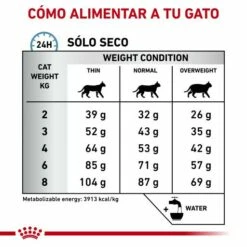 Royal Canin Pienso Para Gato Veterinary Diet Anallergenic AN24 15 Royal Canin Pienso Para Gato Veterinary Diet Anallergenic AN24 -Suministros De Mascotas Ventas 2024 RC VET DRY CatAna CV Eretailkit 5 es ES 62fcdfcdd5e4c g