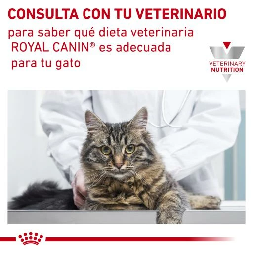 Royal Canin Pienso Para Gato Veterinary Diet Anallergenic AN24 9 Royal Canin Pienso Para Gato Veterinary Diet Anallergenic AN24 - Imagen 7