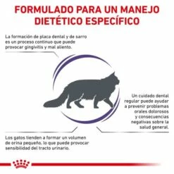 Royal Canin Pienso Feline Dental Para Gato -Suministros De Mascotas Ventas 2024 RC VET DRY CatDental CV 2 es ES 62fce23faeba6 g