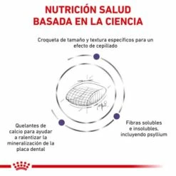 Royal Canin Pienso Feline Dental Para Gato -Suministros De Mascotas Ventas 2024 RC VET DRY CatDental CV 3 es ES 62fce240e3d55 g
