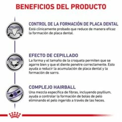 Royal Canin Pienso Feline Dental Para Gato -Suministros De Mascotas Ventas 2024 RC VET DRY CatDental CV 4 es ES 62fce2421e93f g