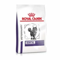 Royal Canin Pienso Feline Dental Para Gato