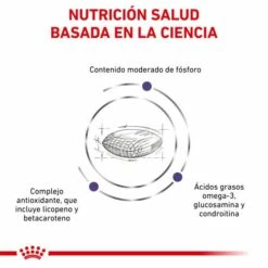 Royal Canin Pienso Mature Consult Para Gato -Suministros De Mascotas Ventas 2024 RC VET DRY CatMatCons CV 3 es ES 62fce28df1325 g