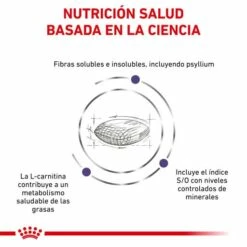 Royal Canin Pienso Neutered Satiety Balance Para Gato 15 Royal Canin Pienso Neutered Satiety Balance Para Gato -Suministros De Mascotas Ventas 2024 RC VET DRY CatNeutSatBal CV 3 es ES 62fce2fb8eb36 g