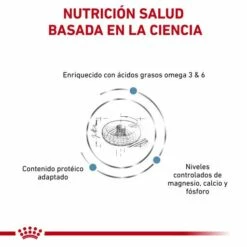 Royal Canin Pienso Skin & Coat Para Gato 16 Royal Canin Pienso Skin & Coat Para Gato -Suministros De Mascotas Ventas 2024 RC VET DRY CatSkinCoat CV Eretailkit 2 es ES 62fce05164ce8 g