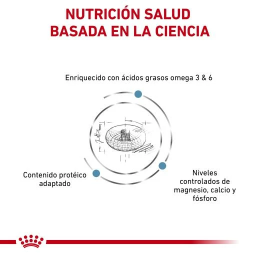 Royal Canin Pienso Skin & Coat Para Gato 6 Royal Canin Pienso Skin & Coat Para Gato - Imagen 4