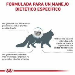 Royal Canin Pienso Skin & Coat Para Gato 22 Royal Canin Pienso Skin & Coat Para Gato -Suministros De Mascotas Ventas 2024 RC VET DRY CatSkinCoat CV Eretailkit 9 es ES 62fce059db750 g