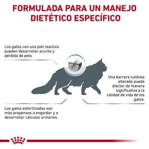 Royal Canin Pienso Skin & Coat Para Gato 12 Royal Canin Pienso Skin & Coat Para Gato - Imagen 10