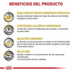 Royal Canin Comida Húmeda Urinary S/O Moderate Calorie 16 Royal Canin Comida Húmeda Urinary S/O Moderate Calorie -Suministros De Mascotas Ventas 2024 RC VET DRY CatUrinarySOMC CV Eretailkit 3 es ES 62fce5367f0e7 g