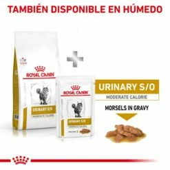 Royal Canin Comida Húmeda Urinary S/O Moderate Calorie 19 Royal Canin Comida Húmeda Urinary S/O Moderate Calorie -Suministros De Mascotas Ventas 2024 RC VET DRY CatUrinarySOMC CV Eretailkit 6 es ES 62fce53fb9f06 g
