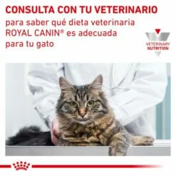 Royal Canin Comida Húmeda Urinary S/O Moderate Calorie 20 Royal Canin Comida Húmeda Urinary S/O Moderate Calorie -Suministros De Mascotas Ventas 2024 RC VET DRY CatUrinarySOMC CV Eretailkit 7 es ES 62fce5417b5a8 g