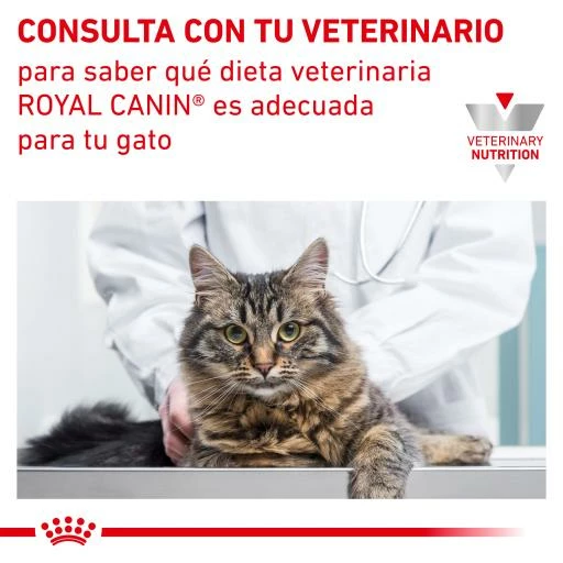 Royal Canin Comida Húmeda Urinary S/O Moderate Calorie 10 Royal Canin Comida Húmeda Urinary S/O Moderate Calorie - Imagen 8
