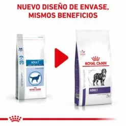 Royal Canin Pienso Adult Large Dog 14 Royal Canin Pienso Adult Large Dog -Suministros De Mascotas Ventas 2024 RC VET DRY DogADLD CV 1 es ES 62fcc38c1b52e g