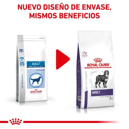 Royal Canin Pienso Adult Large Dog 5 Royal Canin Pienso Adult Large Dog - Imagen 3