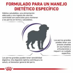 Royal Canin Pienso Adult Large Dog 15 Royal Canin Pienso Adult Large Dog -Suministros De Mascotas Ventas 2024 RC VET DRY DogADLD CV 2 es ES 62fcc38d560fa g