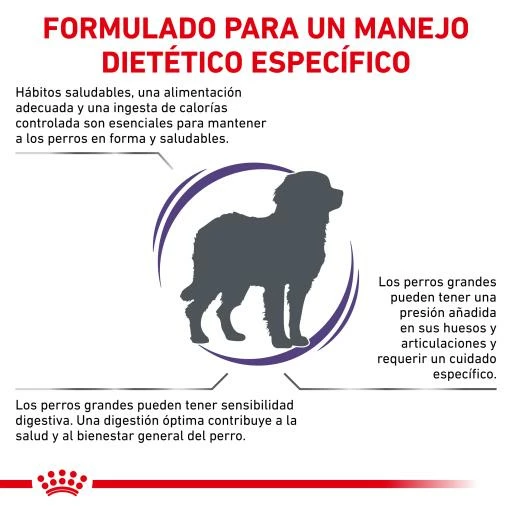 Royal Canin Pienso Adult Large Dog 6 Royal Canin Pienso Adult Large Dog - Imagen 4
