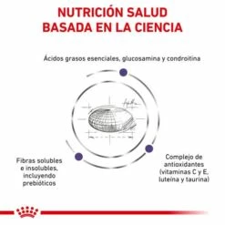 Royal Canin Pienso Adult Large Dog 16 Royal Canin Pienso Adult Large Dog -Suministros De Mascotas Ventas 2024 RC VET DRY DogADLD CV 3 es ES 62fcc38ea0c53 g
