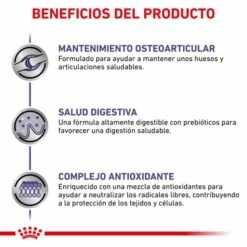 Royal Canin Pienso Adult Large Dog 17 Royal Canin Pienso Adult Large Dog -Suministros De Mascotas Ventas 2024 RC VET DRY DogADLD CV 4 es ES 62fcc38fcc941 g