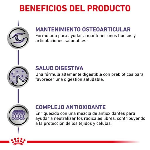 Royal Canin Pienso Adult Large Dog 8 Royal Canin Pienso Adult Large Dog - Imagen 6