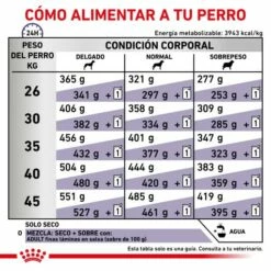 Royal Canin Pienso Adult Large Dog 18 Royal Canin Pienso Adult Large Dog -Suministros De Mascotas Ventas 2024 RC VET DRY DogADLD CV 6 es ES 62fcc3911985f g