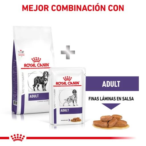 Royal Canin Pienso Adult Large Dog 11 Royal Canin Pienso Adult Large Dog - Imagen 9