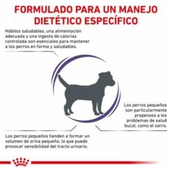 Royal Canin Pienso Adult Small Dog 16 Royal Canin Pienso Adult Small Dog -Suministros De Mascotas Ventas 2024 RC VET DRY DogADSD CV 2 es ES 62fcc3bc3b57f g