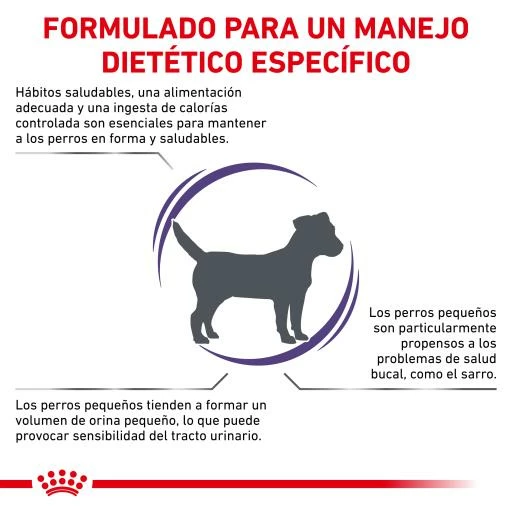 Royal Canin Pienso Adult Small Dog 6 Royal Canin Pienso Adult Small Dog - Imagen 4