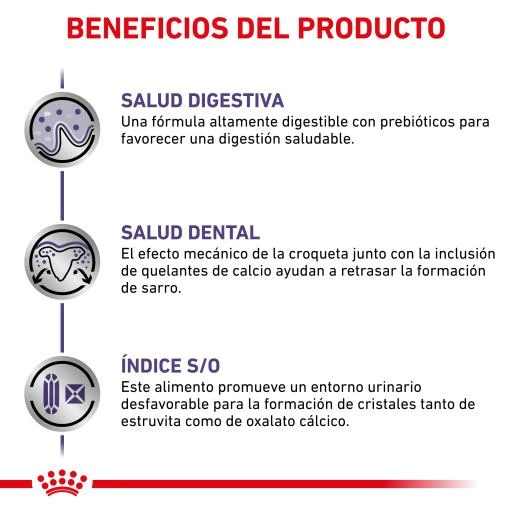 Royal Canin Pienso Adult Small Dog 8 Royal Canin Pienso Adult Small Dog - Imagen 6