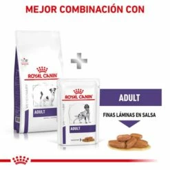 Royal Canin Pienso Adult Small Dog 22 Royal Canin Pienso Adult Small Dog -Suministros De Mascotas Ventas 2024 RC VET DRY DogADSD CV 8 es ES 62fcc3c51d95f g