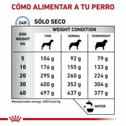 Royal Canin Pienso Anallergenic Veterinary Diet -Suministros De Mascotas Ventas 2024 RC VET DRY DogAna CV Eretailkit 4 es ES 62fcbee89d989 g