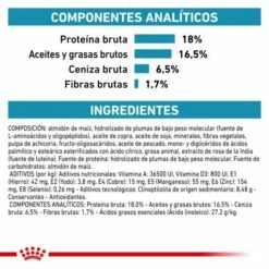 Royal Canin Pienso Anallergenic Veterinary Diet -Suministros De Mascotas Ventas 2024 RC VET DRY DogAna CV Eretailkit 5 es ES 62fcbeea5d02e g