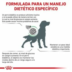 Royal Canin Pienso Diabetic Canine -Suministros De Mascotas Ventas 2024 RC VET DRY DogDiabetic CV Eretailkit 2 es ES 62fcdedfb4ab3 g