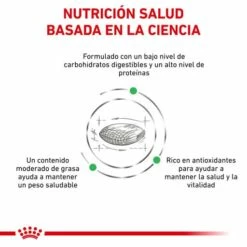 Royal Canin Pienso Diabetic Canine -Suministros De Mascotas Ventas 2024 RC VET DRY DogDiabetic CV Eretailkit 3 es ES 62fcdee0c73a5 g