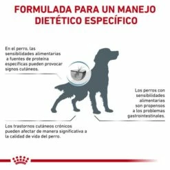 Royal Canin Pienso Hypoallergenic DR21 Canine 21 Royal Canin Pienso Hypoallergenic DR21 Canine -Suministros De Mascotas Ventas 2024 RC VET DRY DogHypo CV Eretailkit 8 es ES 62fcbf1c422d1 g