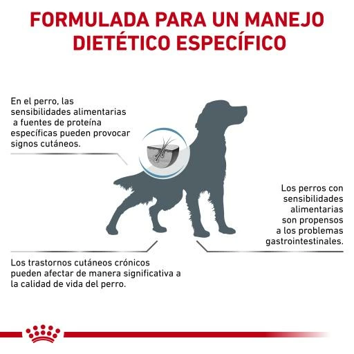 Royal Canin Pienso Hypoallergenic DR21 Canine 12 Royal Canin Pienso Hypoallergenic DR21 Canine - Imagen 10