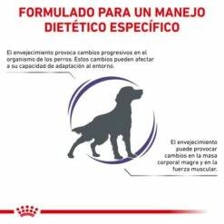 Royal Canin Pienso Senior Consult Mature Medium Dogs -Suministros De Mascotas Ventas 2024 RC VET DRY DogMatCons CV 2 es ES 62fcc466a7231 g